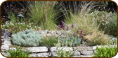 D.S. Garden, Fine Gardening Client in Burlingame, California