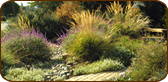 E.H. Garden, Fine Gardening Client in San Jose, California