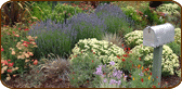 L.D. Garden, Fine Gardening Client in San Mateo, California