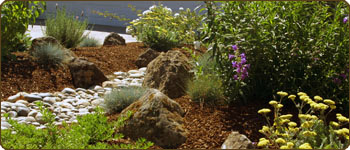 Low water, All Organic, Ecologically Responsible Garden Design