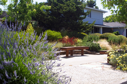 Taproot Garden Design Fine Gardening, Landscaping San Jose California